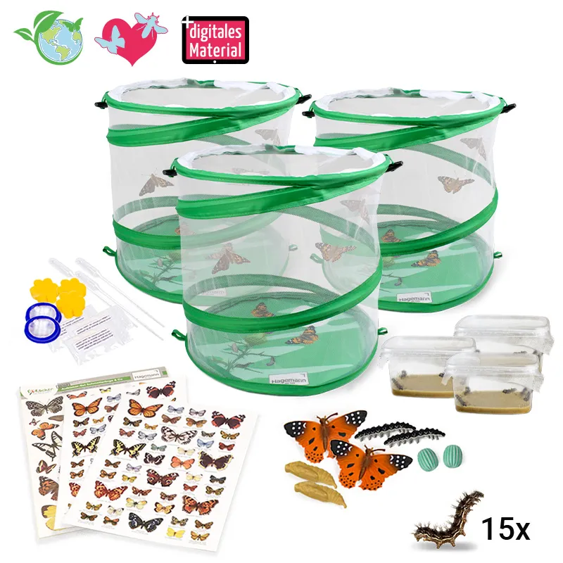 Hagemann Gruppenprojektset Schmetterlinge (15 Raupen)