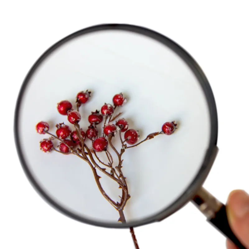 Profi-Vergrößerungsglas (Lupe)