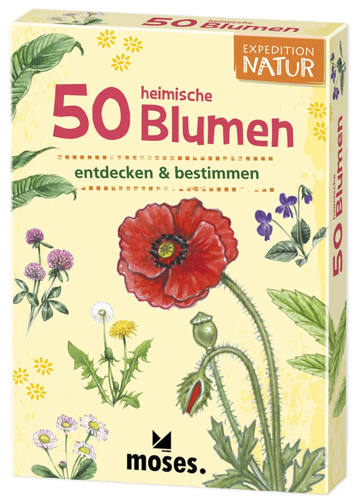 50 Heimische Blumen entdecken und bestimmen