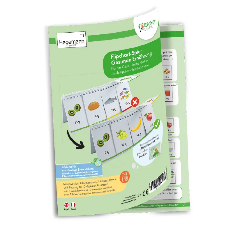 Hagemann Flipchart-Spiel Gesunde Ernährung