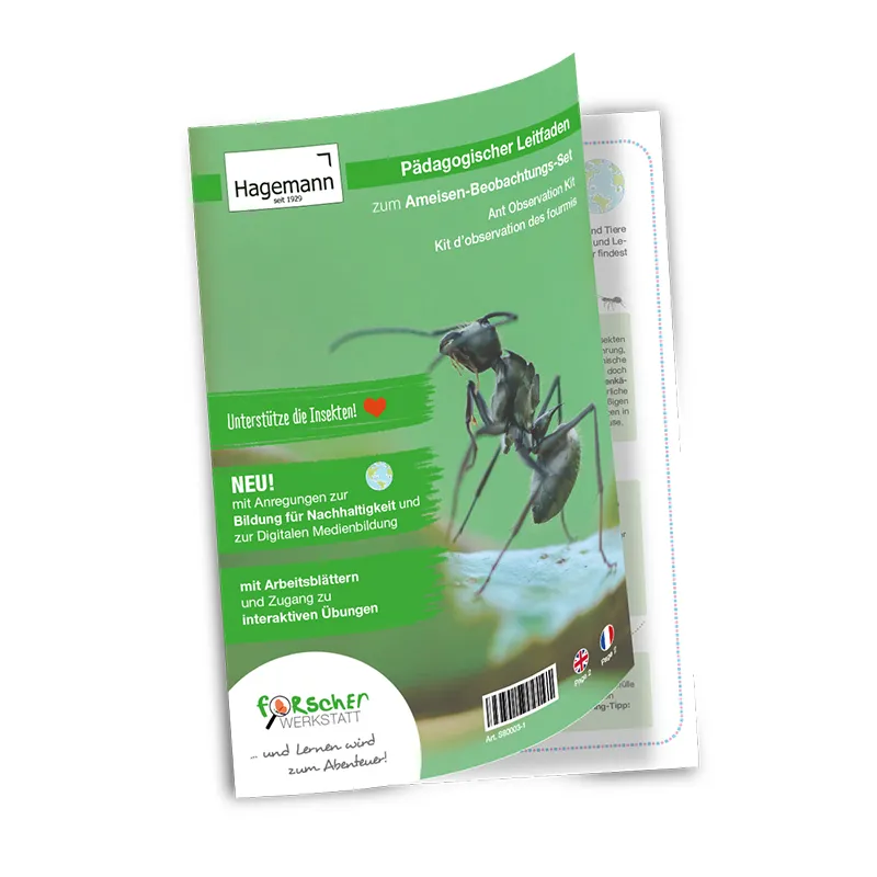 Ameisen Beobachtungsset, 8-tlg.