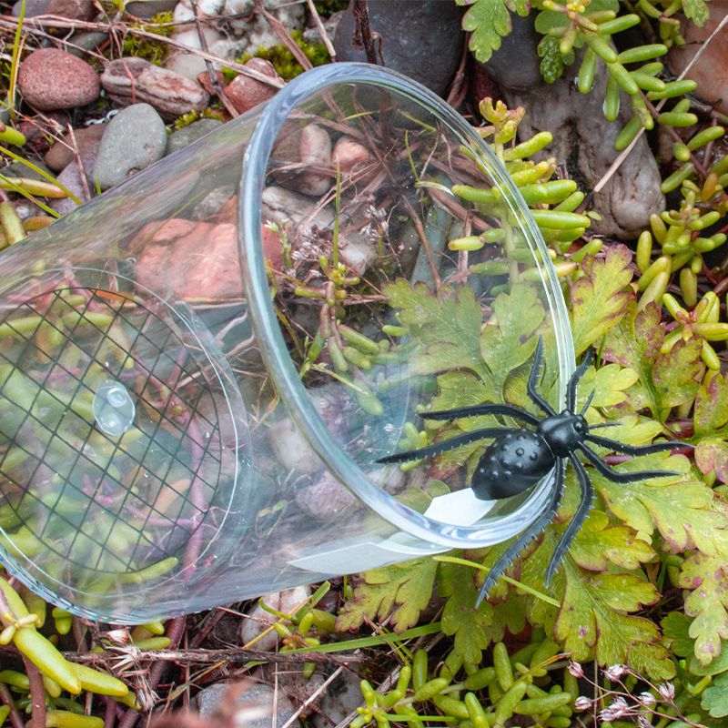 Hagemann Lupendose Natur & digital (mit 2 Vergrößerungen und Maßstab)