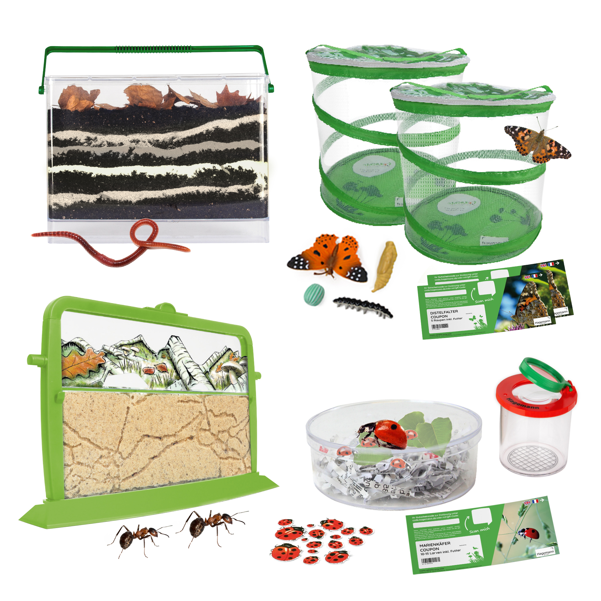 Klassenprojektset Tiere züchten und beobachten