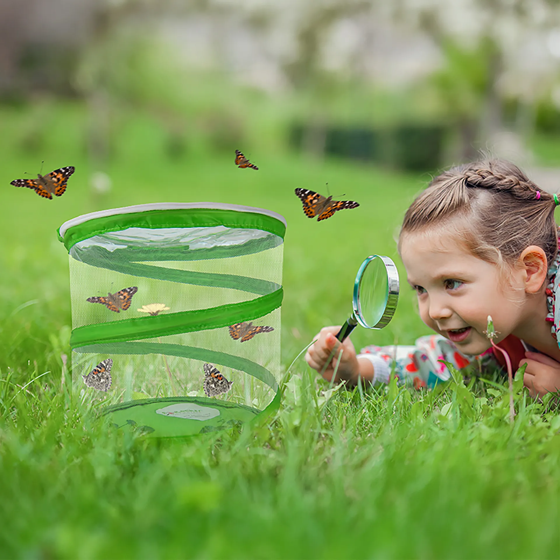 Hagemann Schmetterlings-Zuchtset, kompakt mit XXL-Voliere (5-7 Raupen)