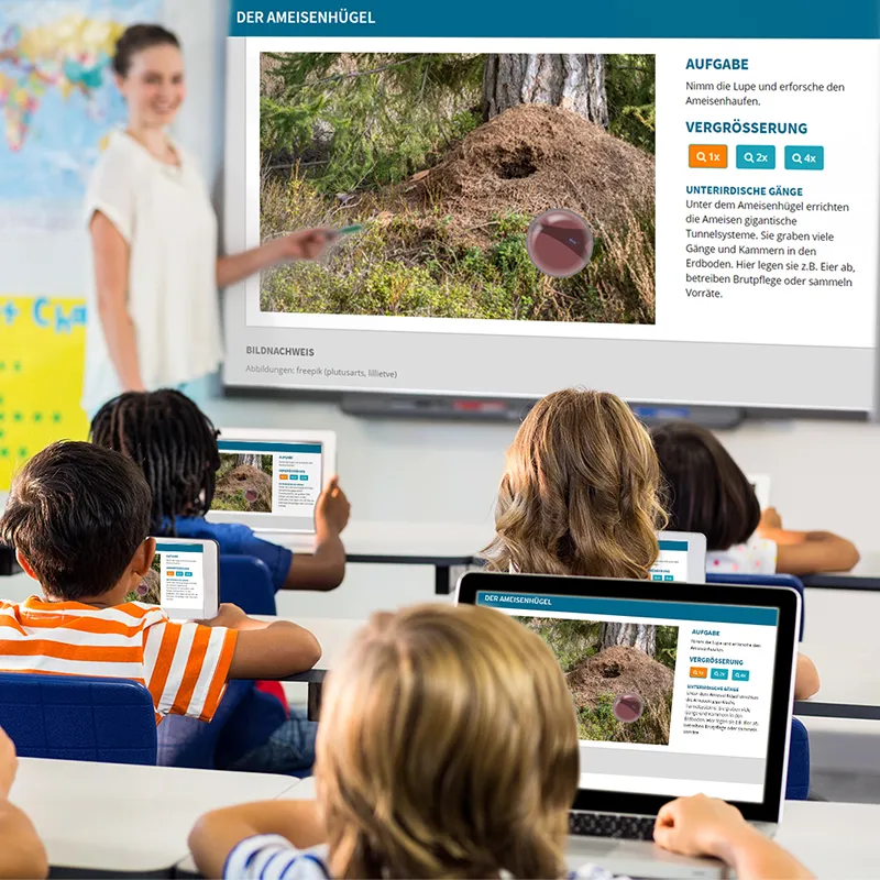 Ameisen Beobachtungsset, 8-tlg.