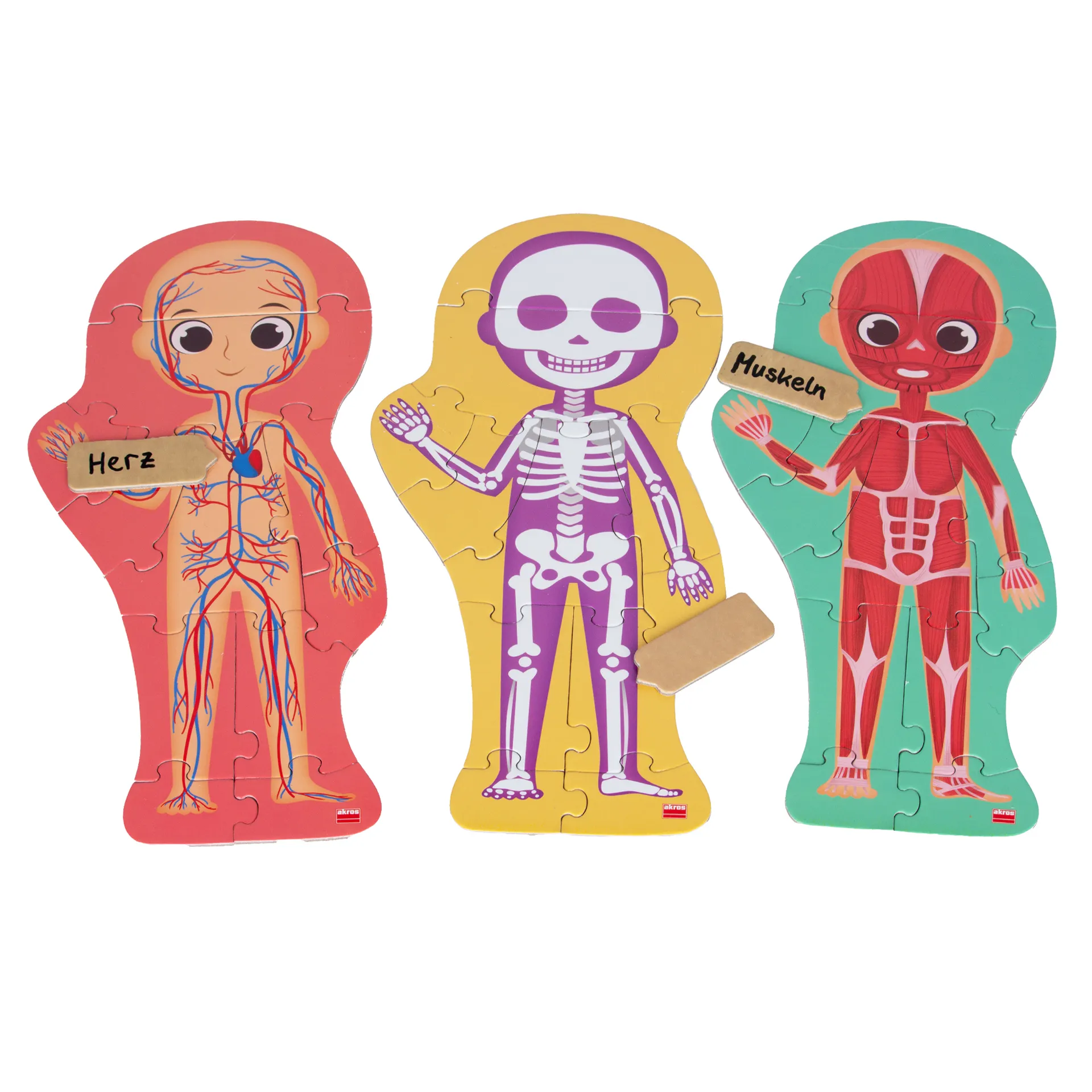 Entdecke deinen Körper, 100-tlg. 