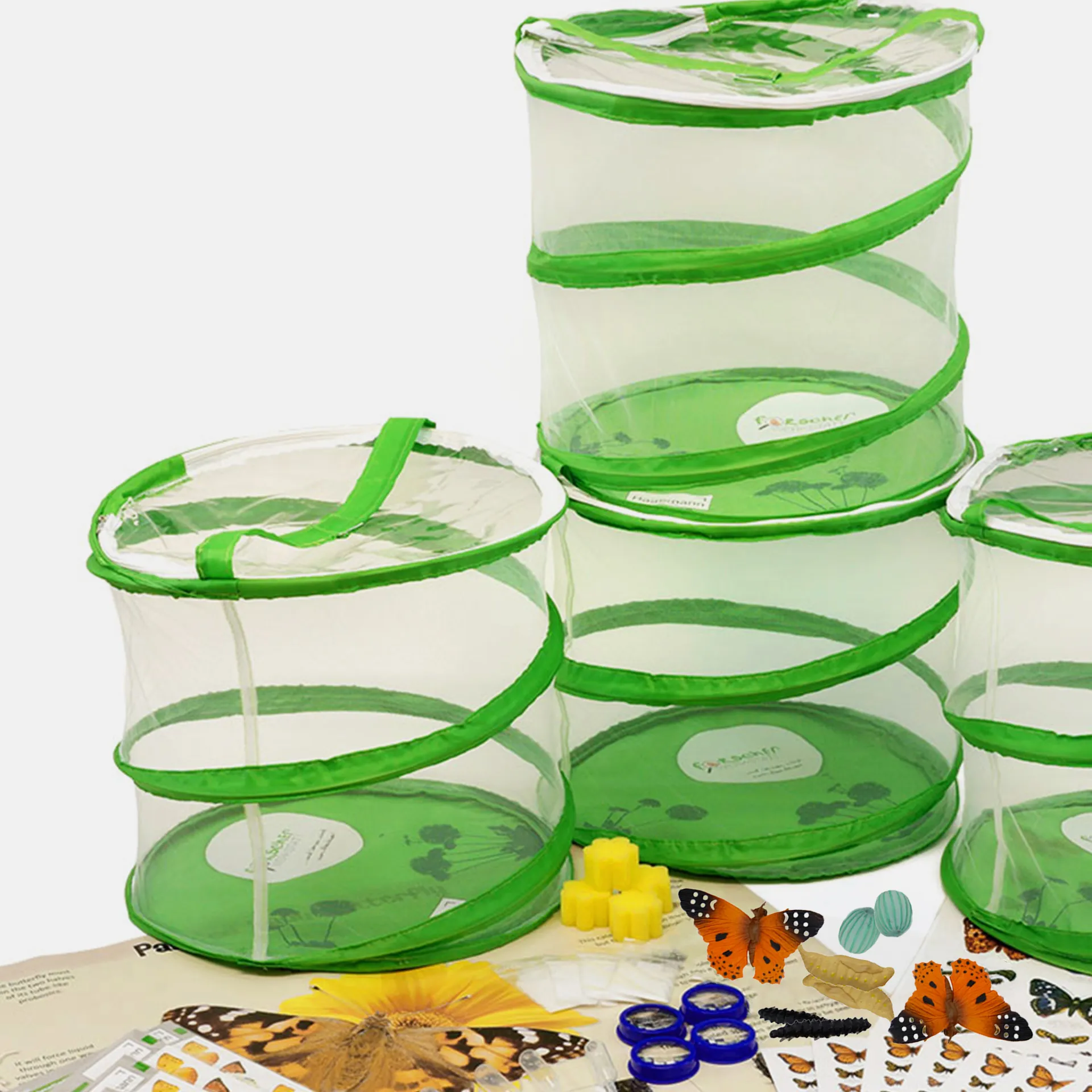 Hagemann Forscherkoffer Schmetterlings-Zucht