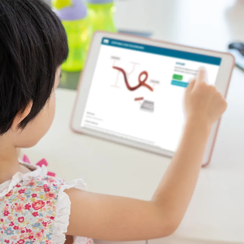 Hagemann Zuchtset Regenwürmer