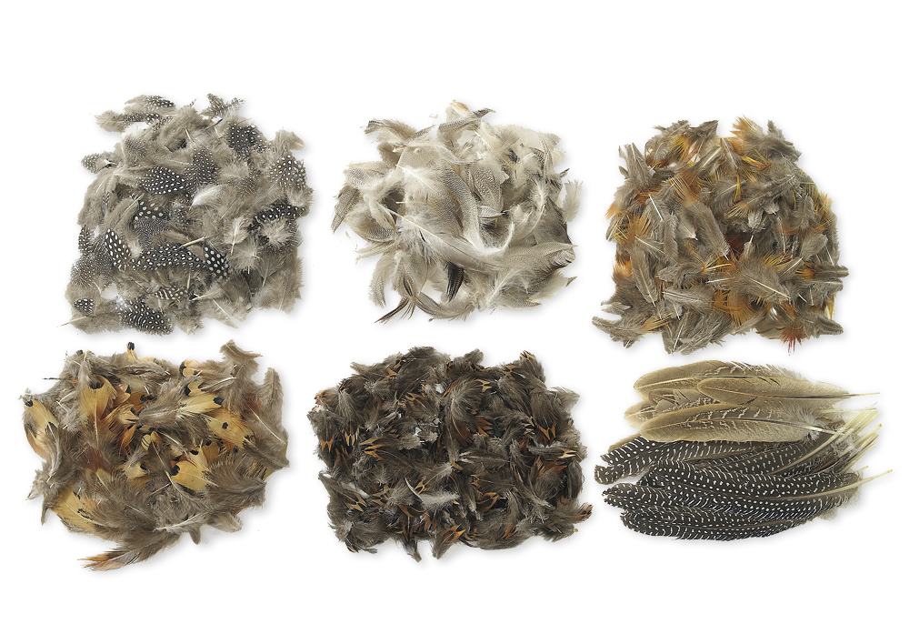 Naturfedern, 6 Sorten