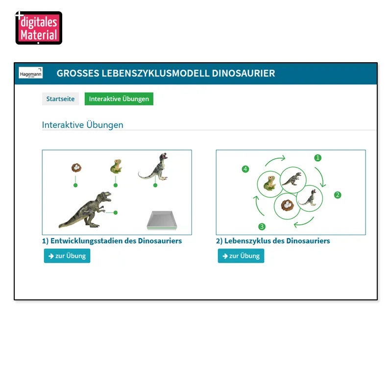 Hagemann Lebenszyklusmodell Dinosaurier (Modelle, 4-tlg.)