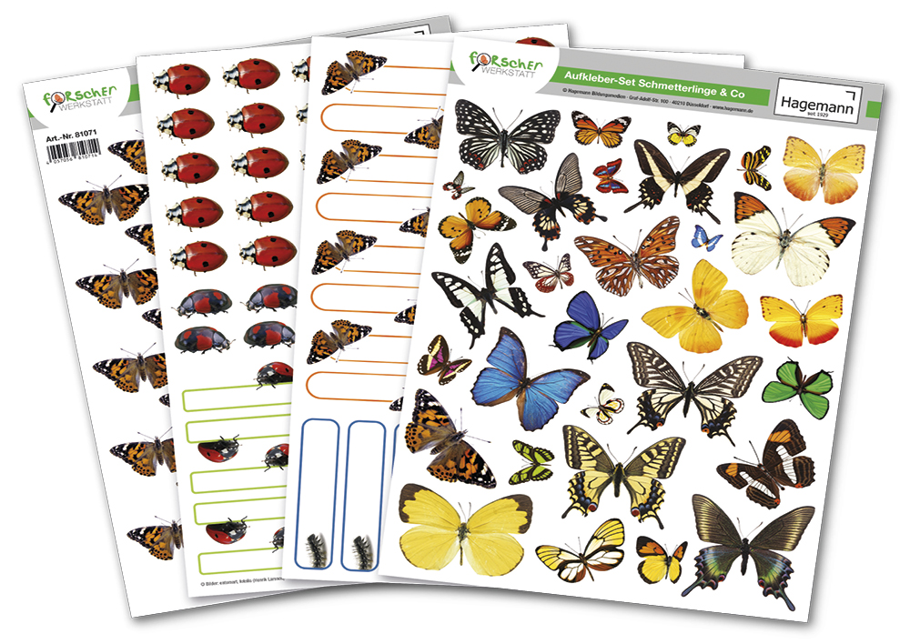 unterschiedliche Schmetterlings-Motiv-Aufkleber