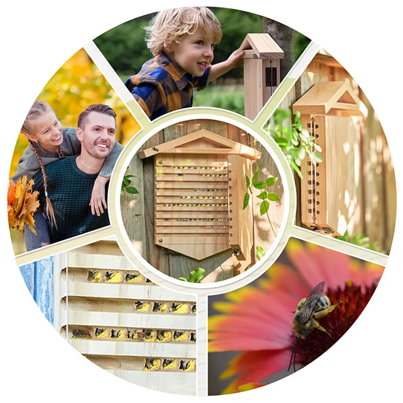 Hagemann Zuchtset Wildbienen zum Aufklappen, Rote Mauerbiene (mit 25 Kokons)