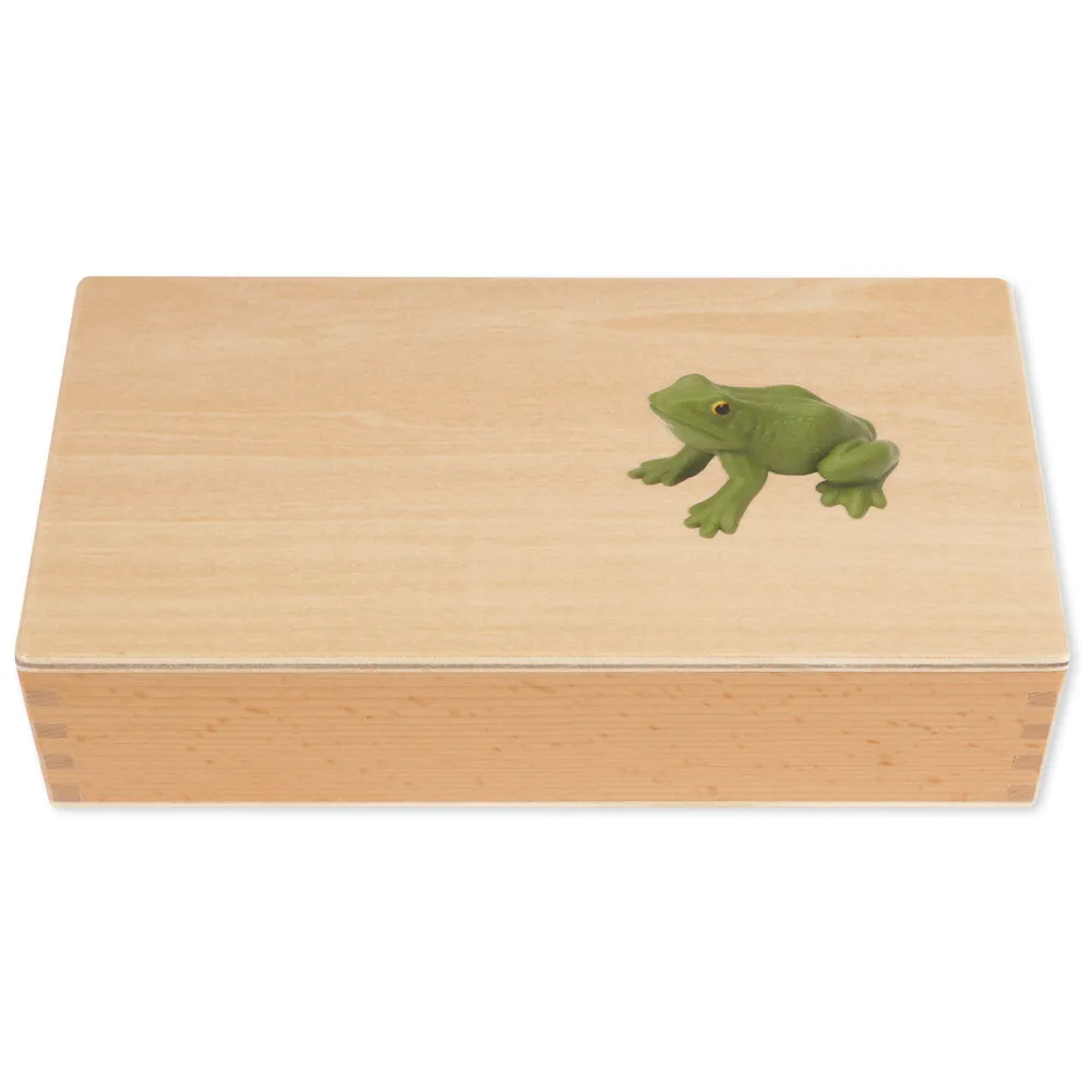 TimeTEX Lebenszyklus eines Frosches, in Holzbox "Montessori Premium"