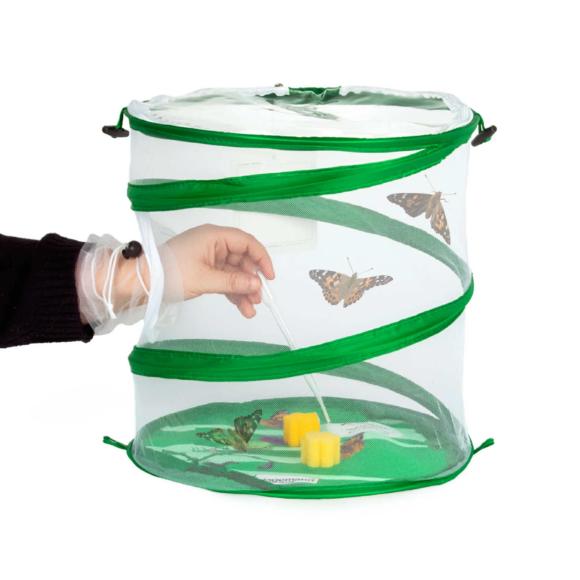 Hagemann Schmetterlings-Zuchtset mit Komfort-Eingriff (5-7 Raupen)