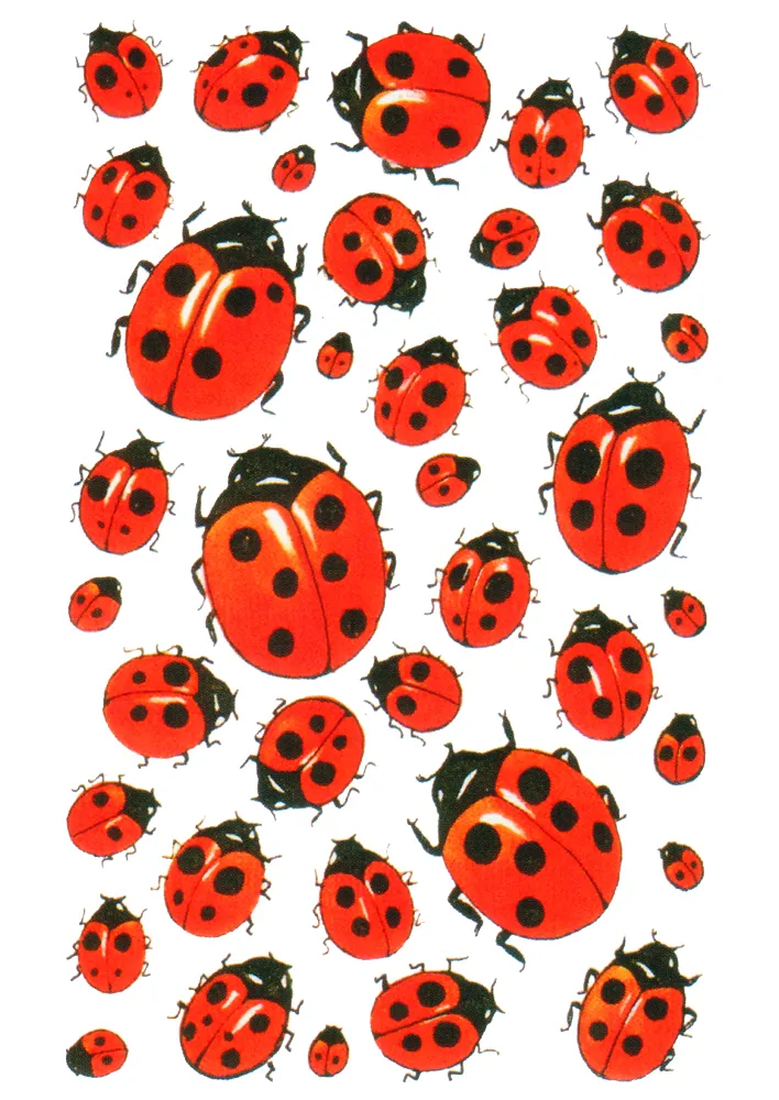 Belobigungs-Aufkleber, Marienkäfer, 228 Stück