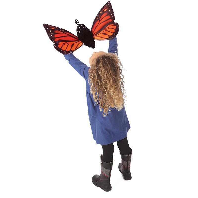 Wendepuppe: Lebenszyklus Schmetterling