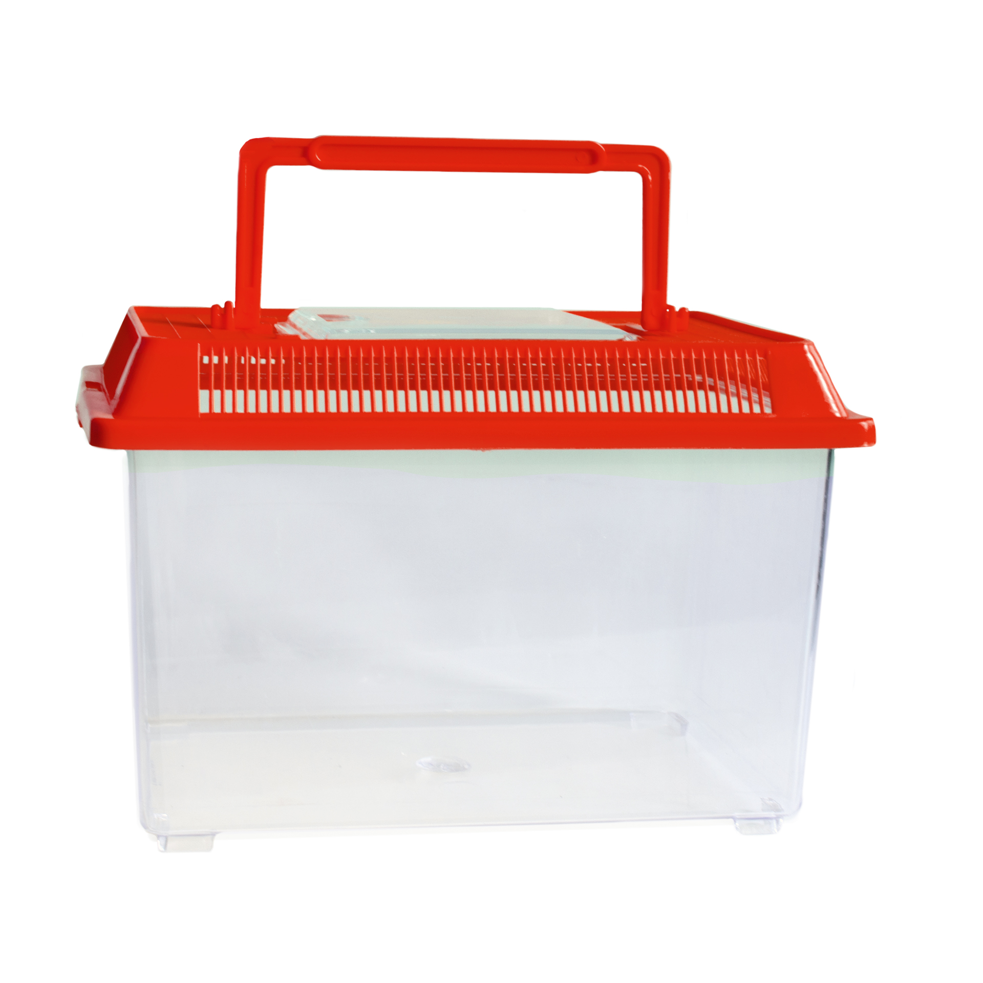 Insekten-Beobachtungsbox
