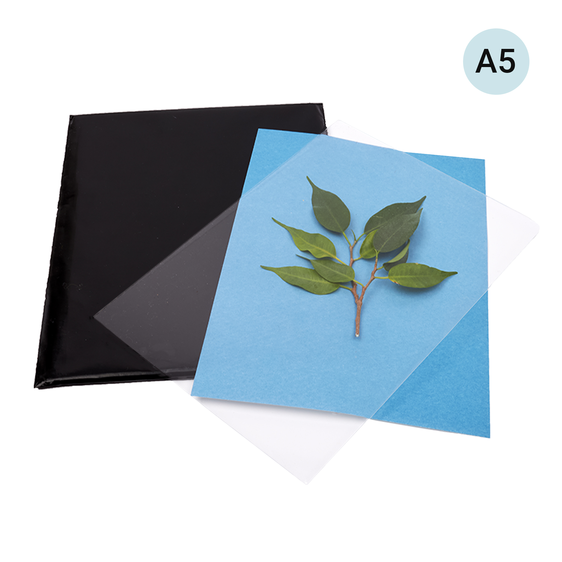 Foto-Solarpapier DIN A 5 mit Fixierscheibe, 10 Blatt