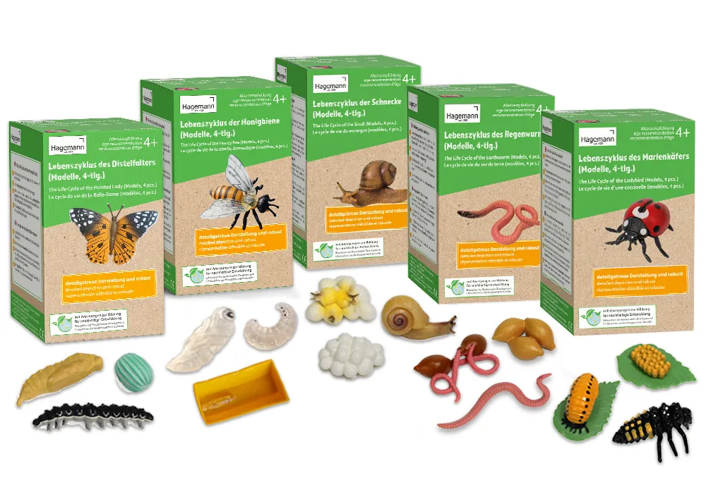 Sparset Lebenszyklus-Modelle Insekten & Co, 20-tlg.