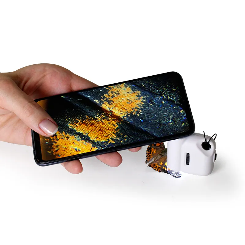 2 in 1 Mini-Mikroskop