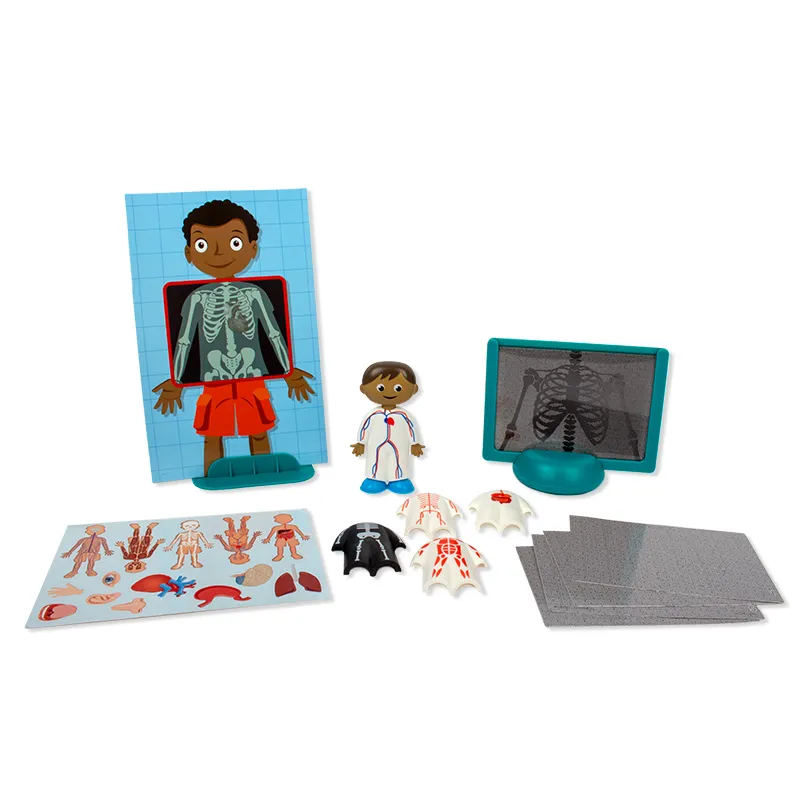 Der Menschliche Körper, Steck-Set, 17 tlg.