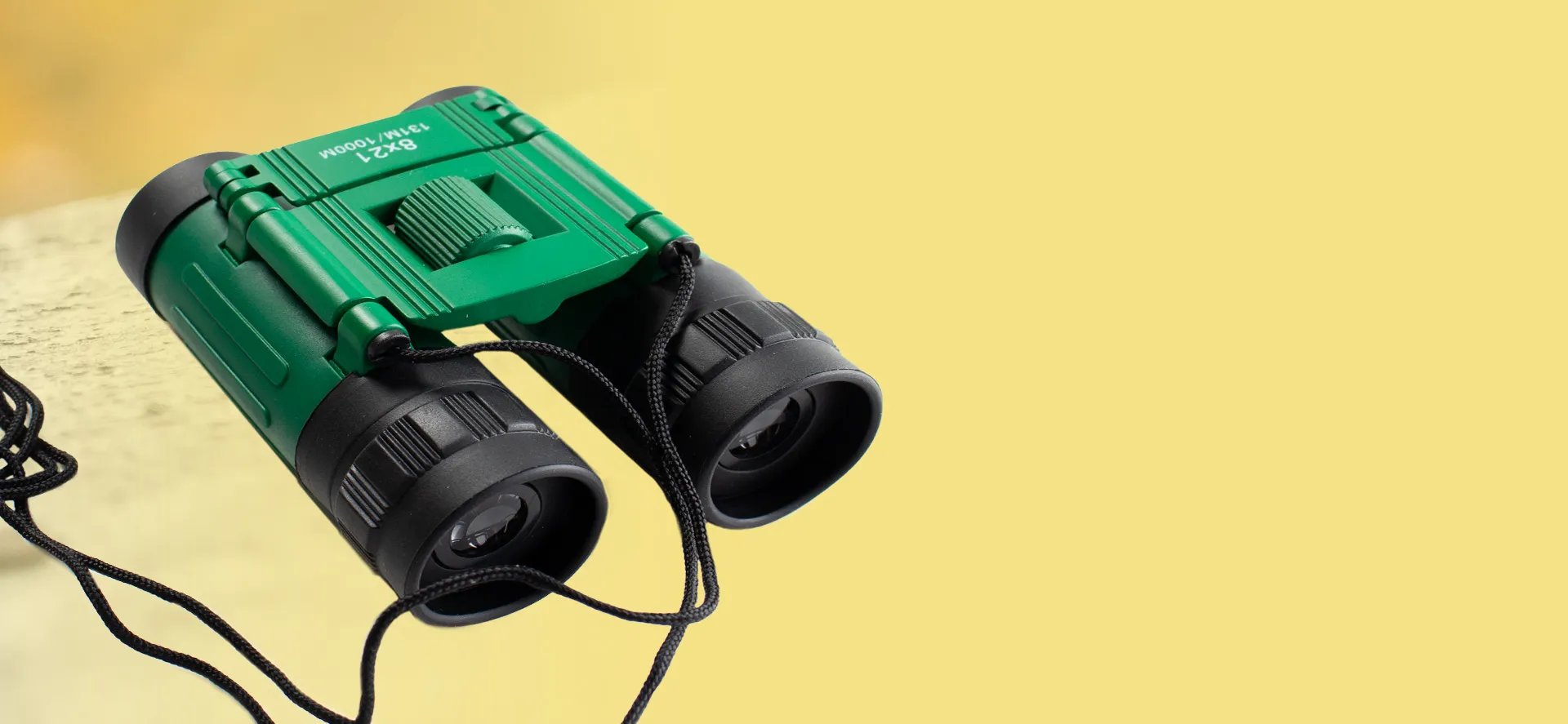 Kategorie_Forscher2_357_165_(2)