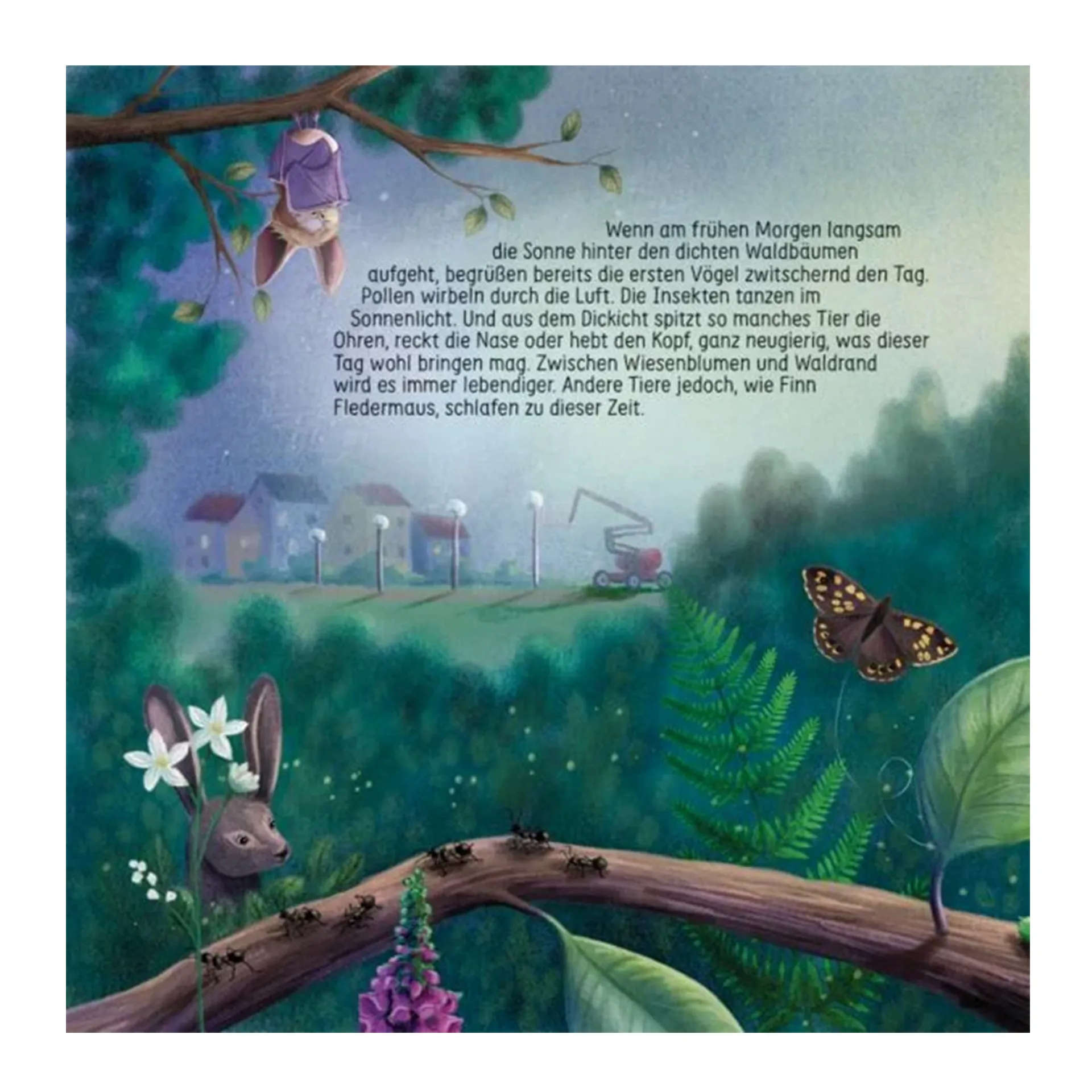 Finn Fledermaus und das Blenden in der Nacht