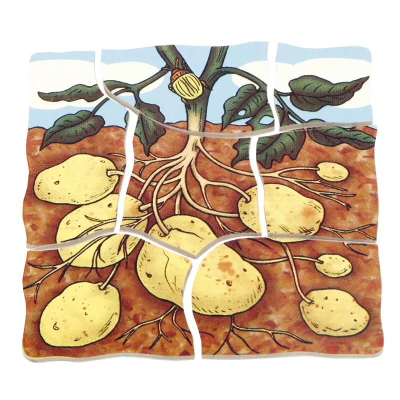 beleduc Schichten-Puzzle "Kartoffel", 30-tlg.