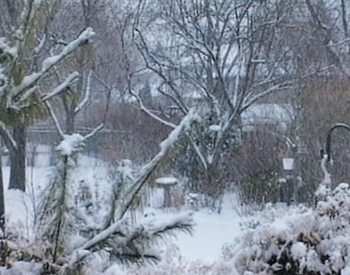 DVD-Lehrfilm Die Jahreszeiten