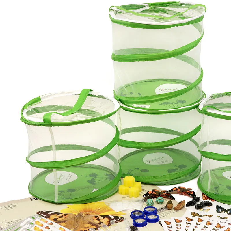 Hagemann Forscherkoffer Schmetterlings-Zucht