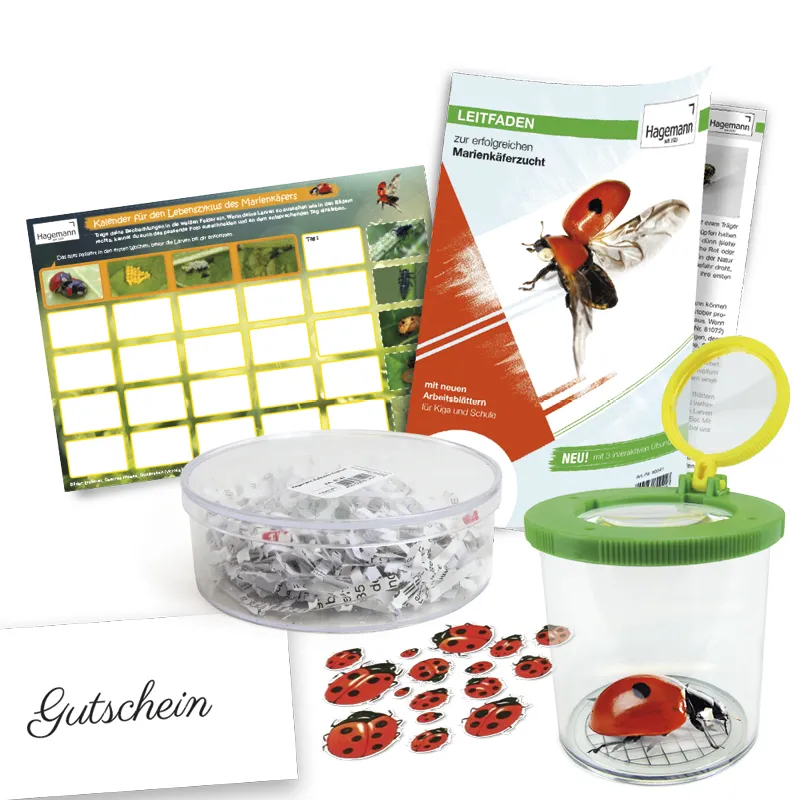 Klassenprojektset Tiere züchten und beobachten