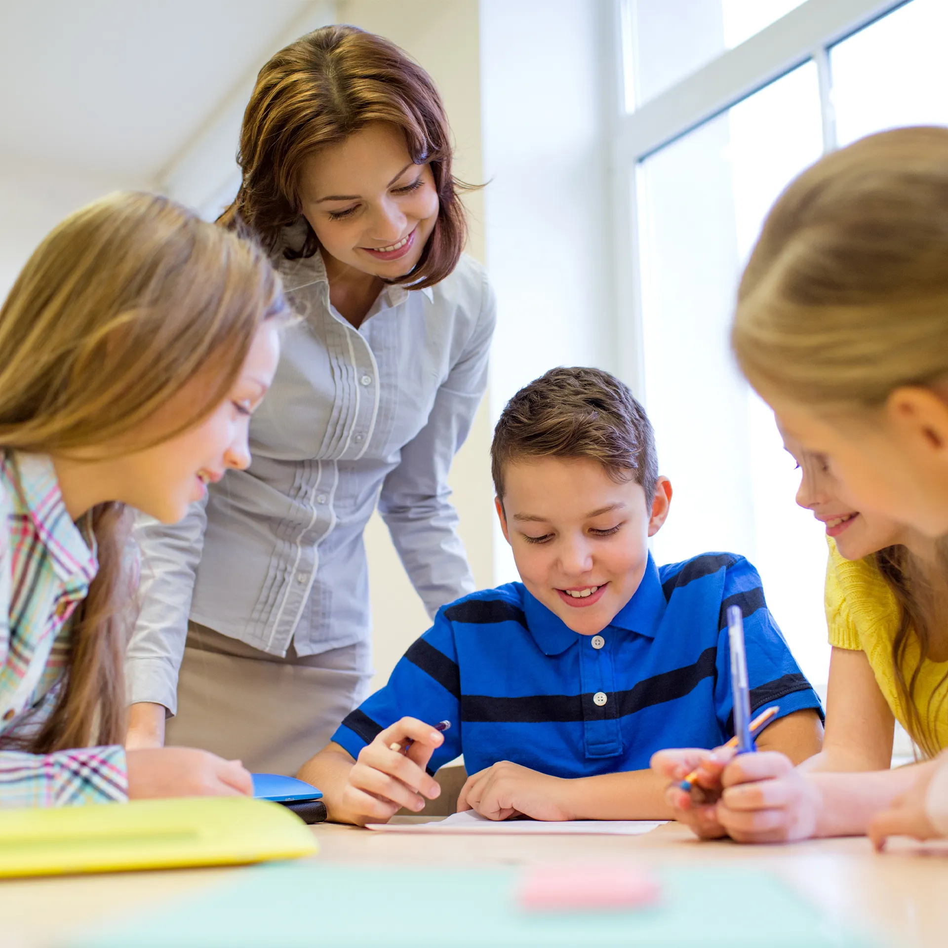 Hagemann Schmetterlings-Tagebuch