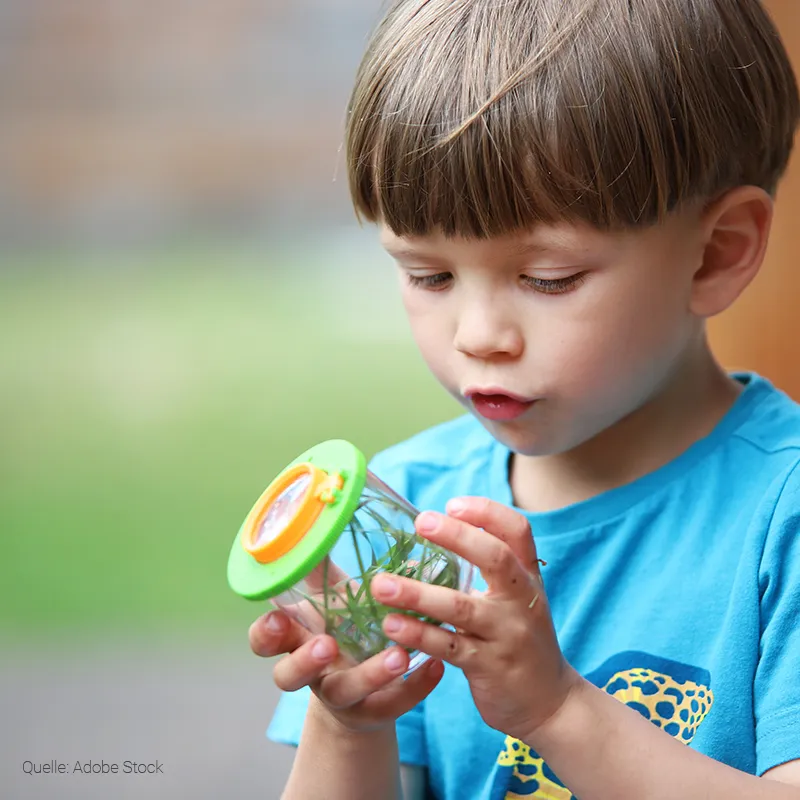 Hagemann Entdeckerset Insekten & Co