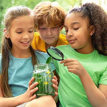 Hagemann_banner_quadratisch_357_forscher_(1)