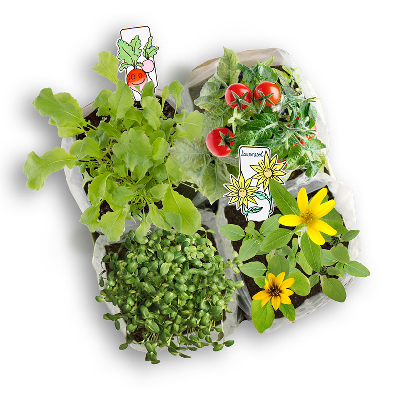 Taschenpflanzset, 4er Set