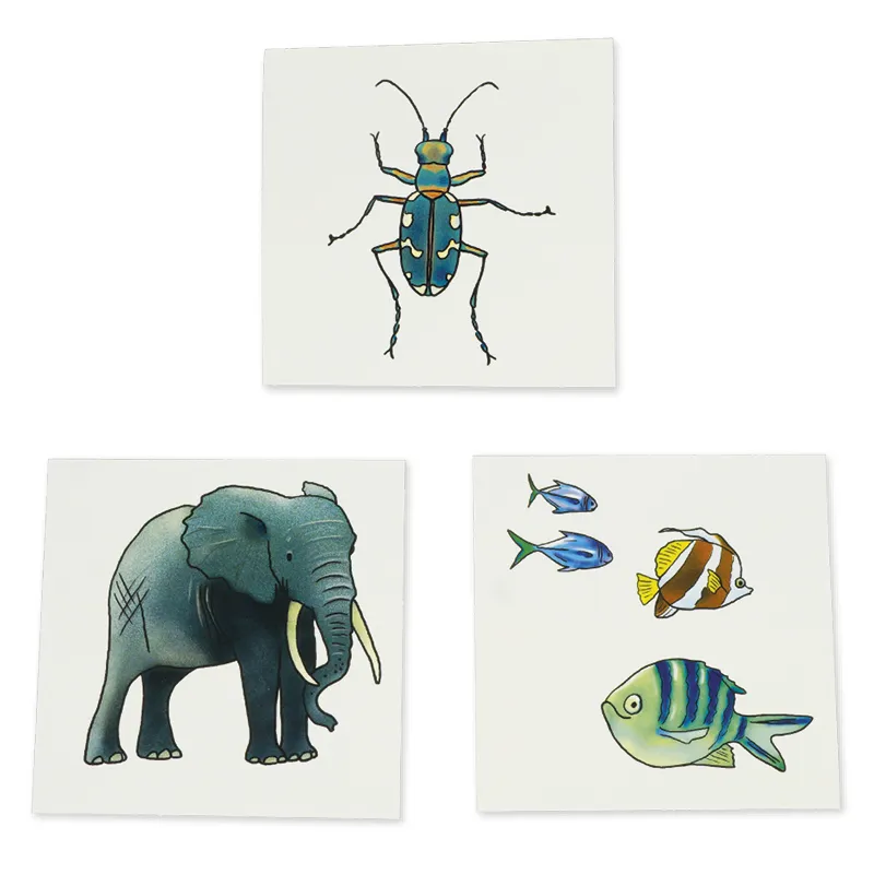 Bilderbox "Vocabular Tiere, Pflanzen, Natur"