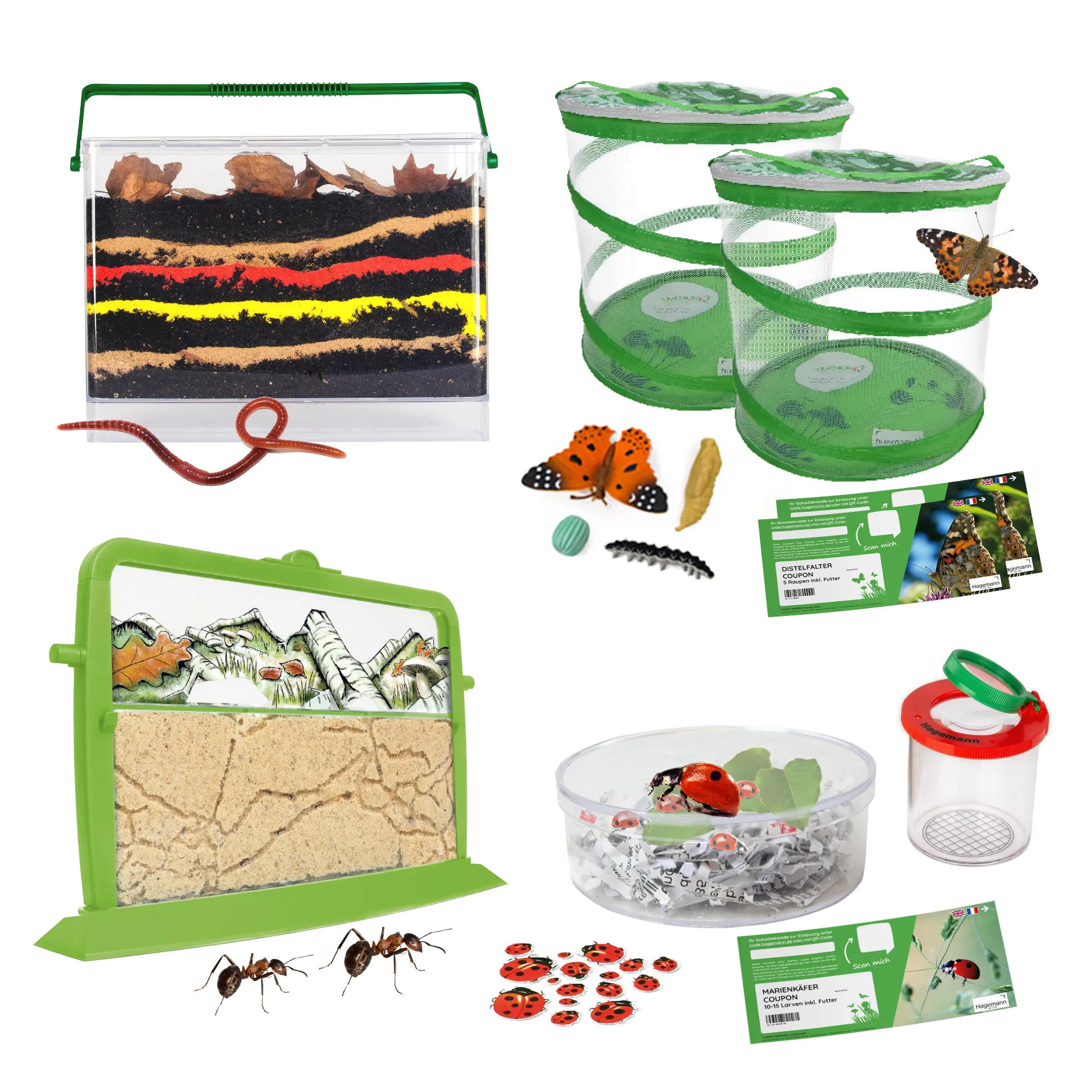 Klassenprojektset Tiere züchten und beobachten