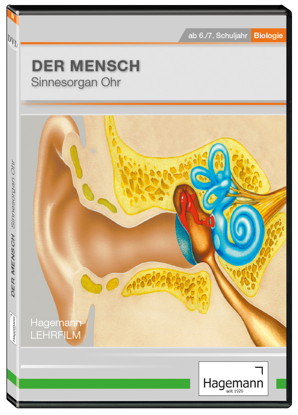DVD-Lehrfilm "Der Mensch: Sinnesorgan Ohr"