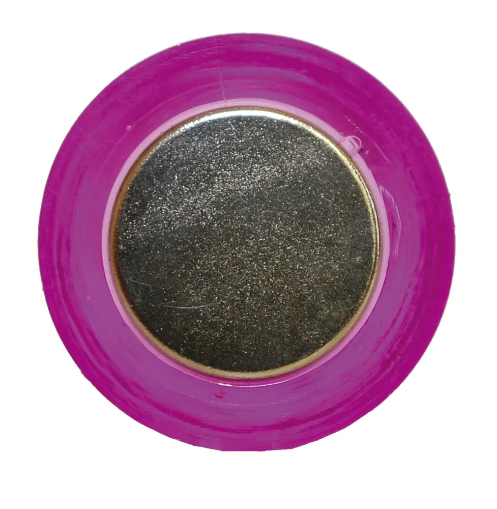 Set Neodym-Magnete, 21mm ø, 3-tlg.