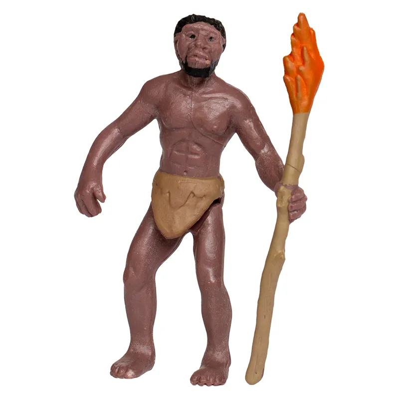 Hagemann Entwicklung des Menschen (Evolution, Modelle), 5-tlg.