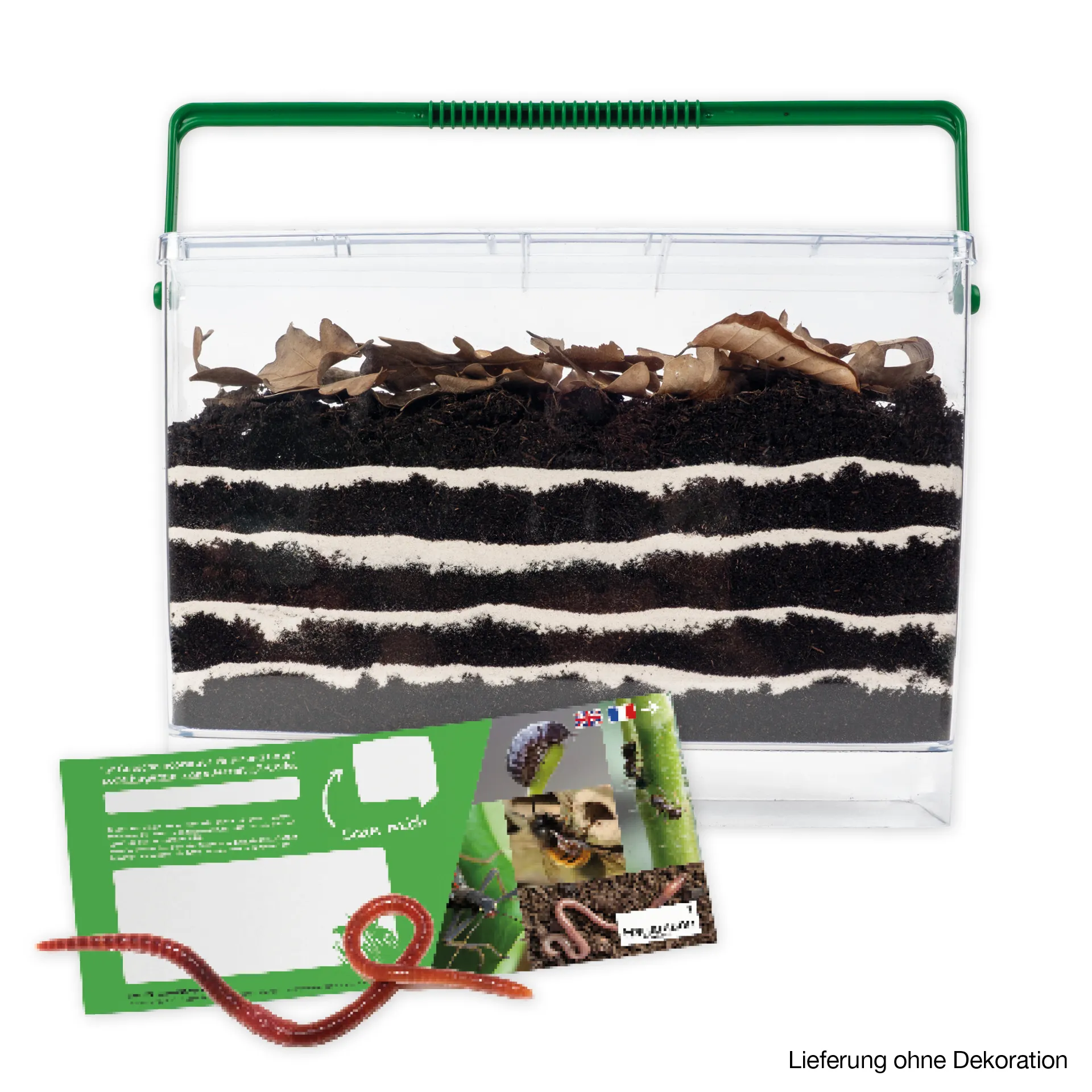 Hagemann Zuchtset Regenwürmer (mit Gutschein, 10-15 Tiere)