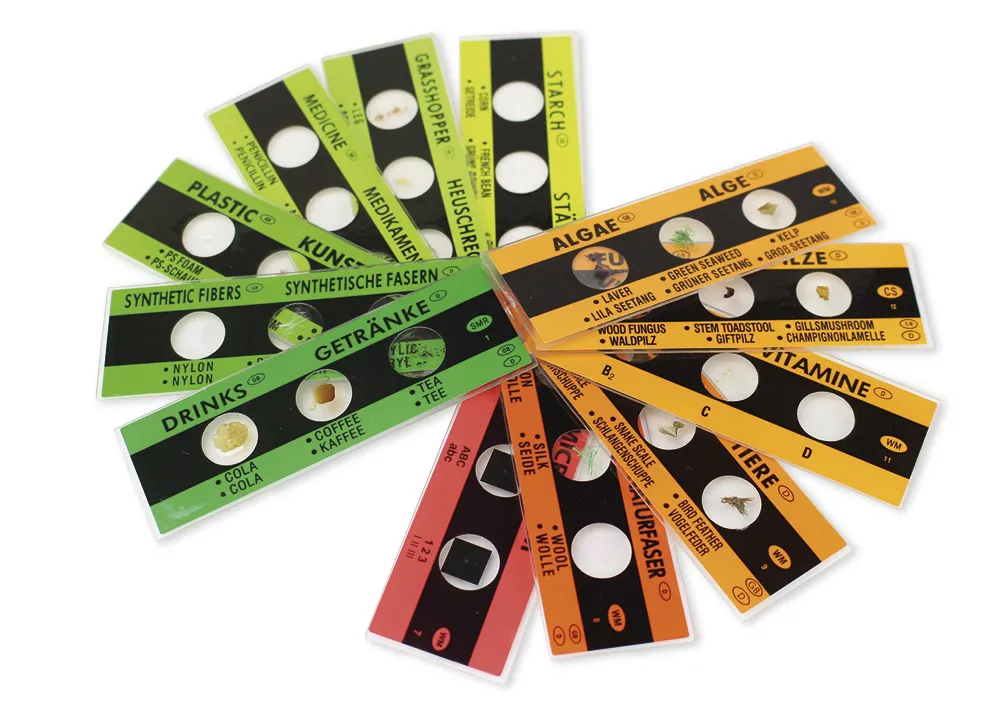 Fertig-Präparate zum Mikroskopieren (36 Stück)