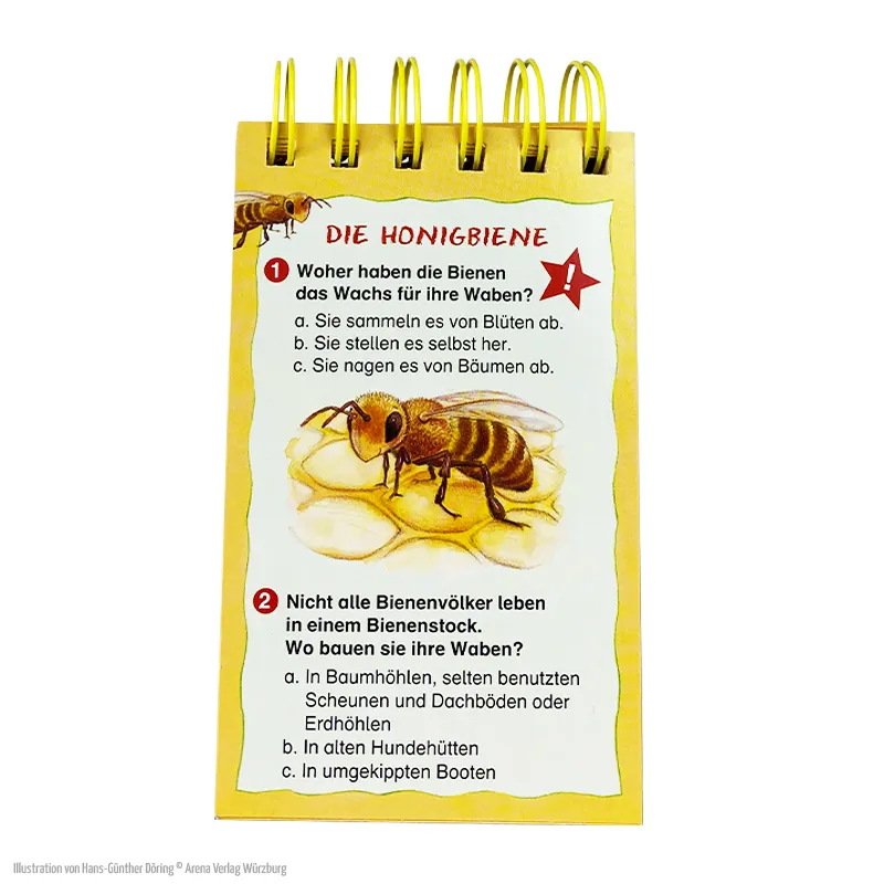 Rate dich schlau! Quiz – Die Biene und unsere Natur