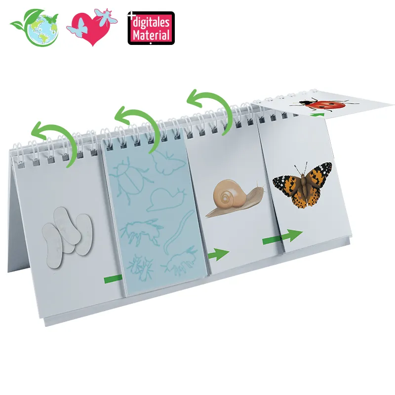 Hagemann Flipchart-Spiel Lebenszyklus Schmetterlinge, Bienen & Co