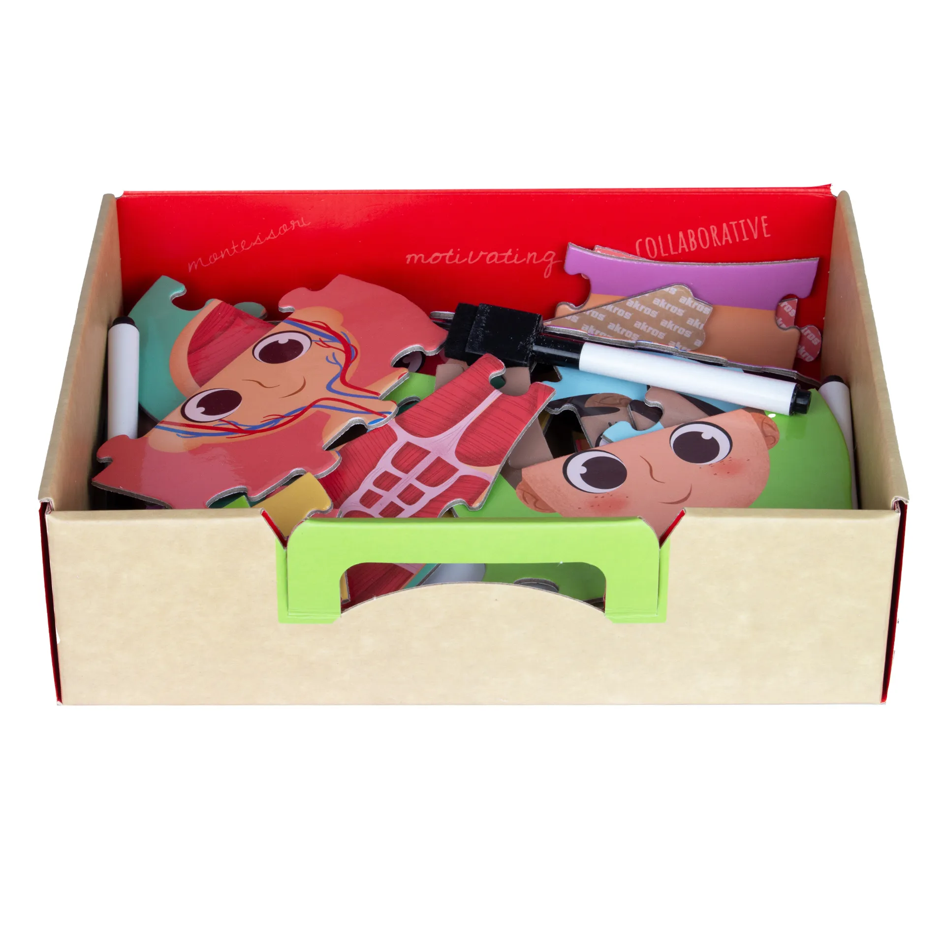 Entdecke deinen Körper, 100-tlg. 