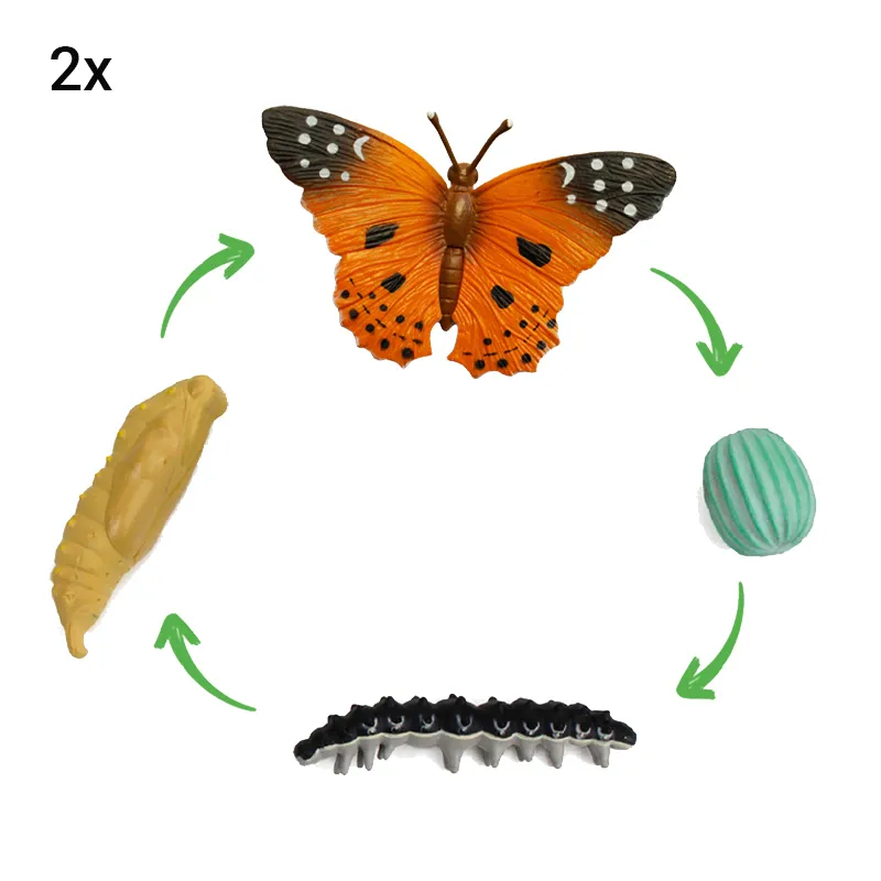 Hagemann Klassenprojektset Schmetterlinge (30-35 Raupen)