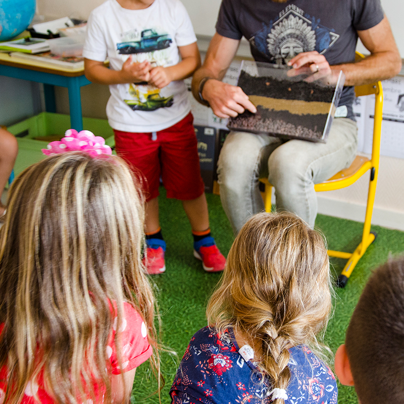 Wurzel- und Regenwurm-Beobachtungs-Set (2 Stück)