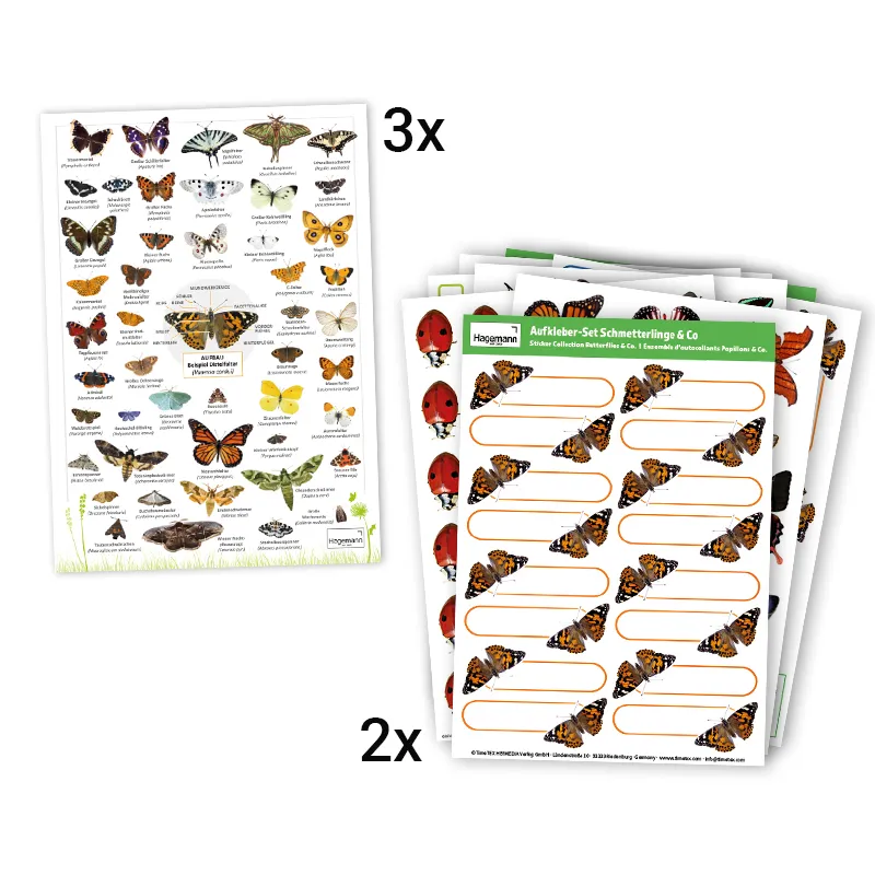 Hagemann Gruppenprojektset Schmetterlinge (15 Raupen)