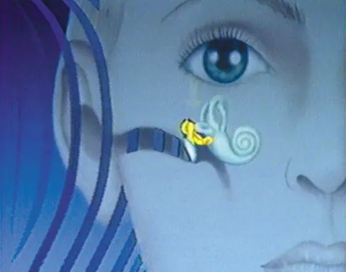 DVD-Lehrfilm Der Mensch - Der Bewegungsapparat