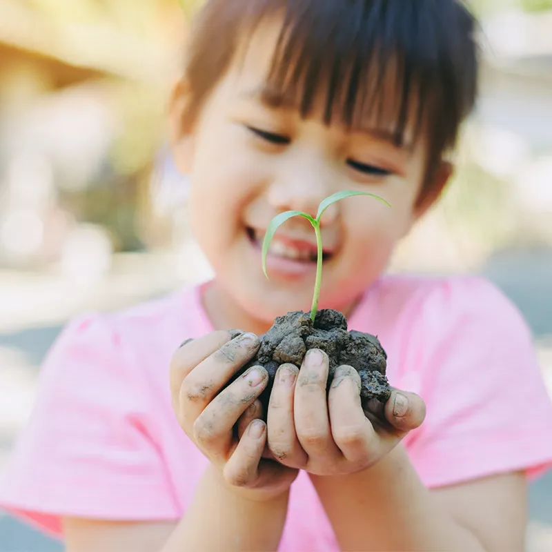 Hagemann Magnetbilder Klimawandel - Wir schützen unser Klima